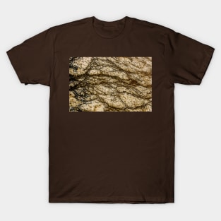 Abstract in Yellowstone National Park Midway Geyser Basin T-Shirt